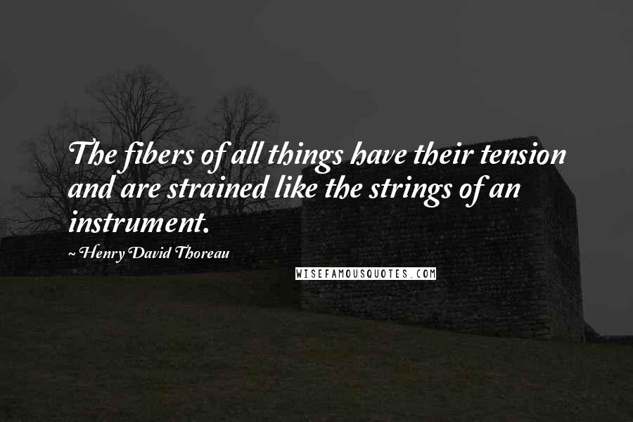 Henry David Thoreau Quotes: The fibers of all things have their tension and are strained like the strings of an instrument.