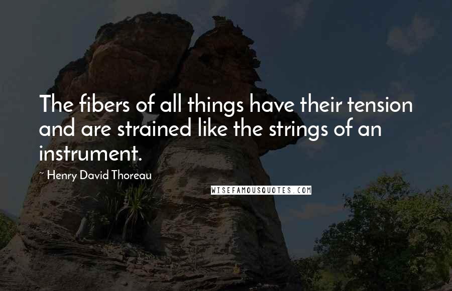 Henry David Thoreau Quotes: The fibers of all things have their tension and are strained like the strings of an instrument.