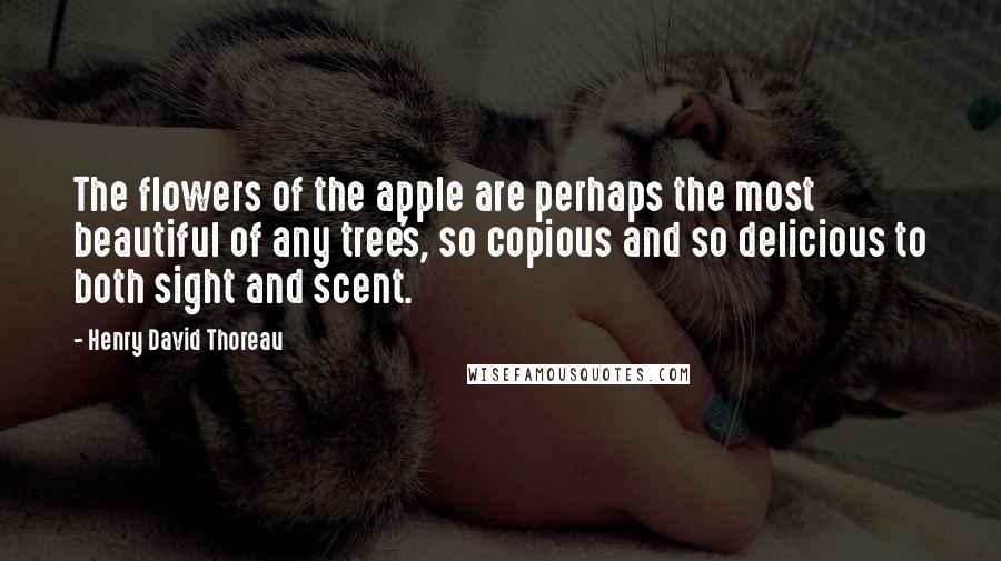 Henry David Thoreau Quotes: The flowers of the apple are perhaps the most beautiful of any tree's, so copious and so delicious to both sight and scent.