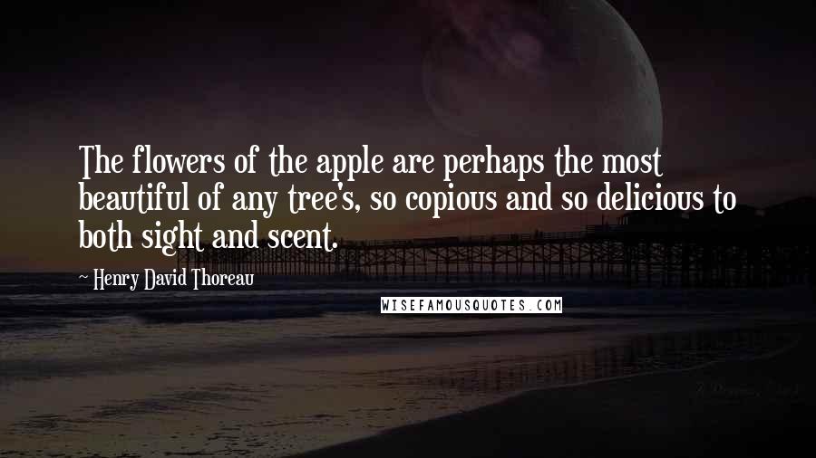 Henry David Thoreau Quotes: The flowers of the apple are perhaps the most beautiful of any tree's, so copious and so delicious to both sight and scent.