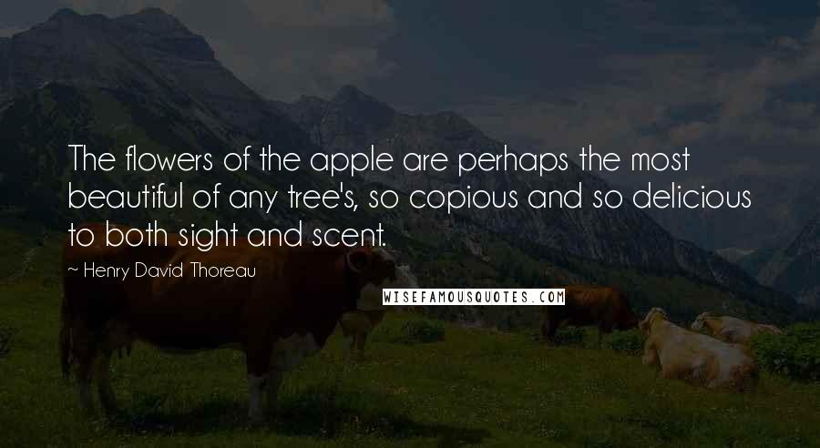 Henry David Thoreau Quotes: The flowers of the apple are perhaps the most beautiful of any tree's, so copious and so delicious to both sight and scent.