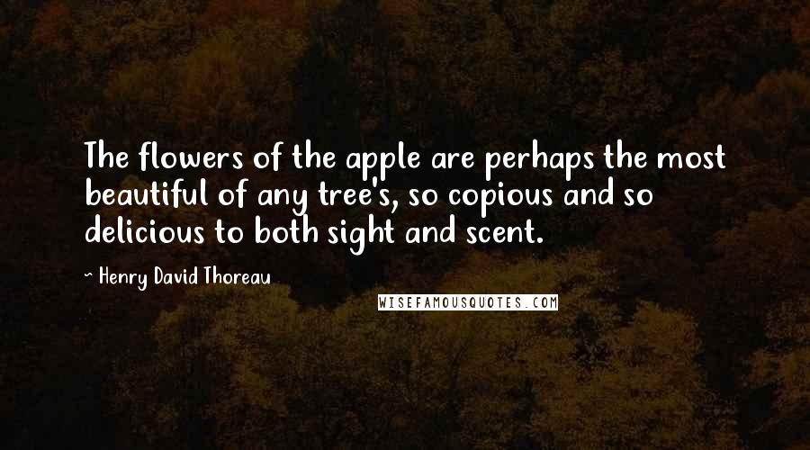 Henry David Thoreau Quotes: The flowers of the apple are perhaps the most beautiful of any tree's, so copious and so delicious to both sight and scent.