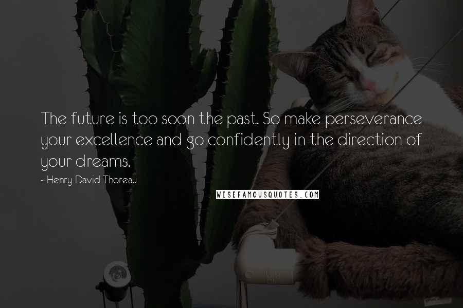 Henry David Thoreau Quotes: The future is too soon the past. So make perseverance your excellence and go confidently in the direction of your dreams.