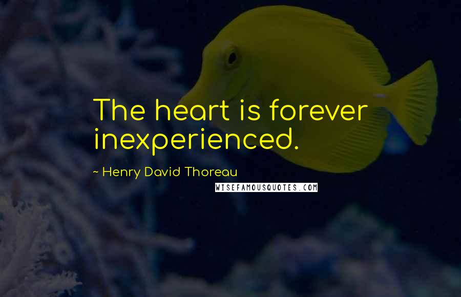 Henry David Thoreau Quotes: The heart is forever inexperienced.