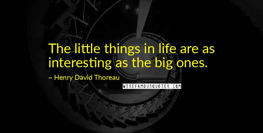 Henry David Thoreau Quotes: The little things in life are as interesting as the big ones.