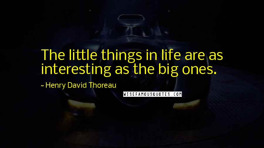 Henry David Thoreau Quotes: The little things in life are as interesting as the big ones.