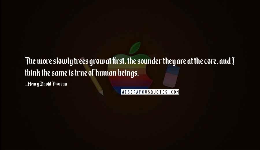 Henry David Thoreau Quotes: The more slowly trees grow at first, the sounder they are at the core, and I think the same is true of human beings.