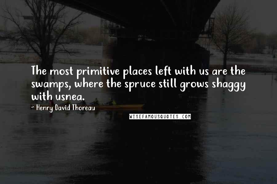 Henry David Thoreau Quotes: The most primitive places left with us are the swamps, where the spruce still grows shaggy with usnea.