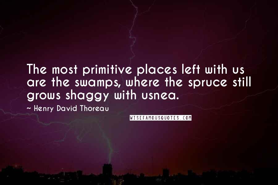 Henry David Thoreau Quotes: The most primitive places left with us are the swamps, where the spruce still grows shaggy with usnea.