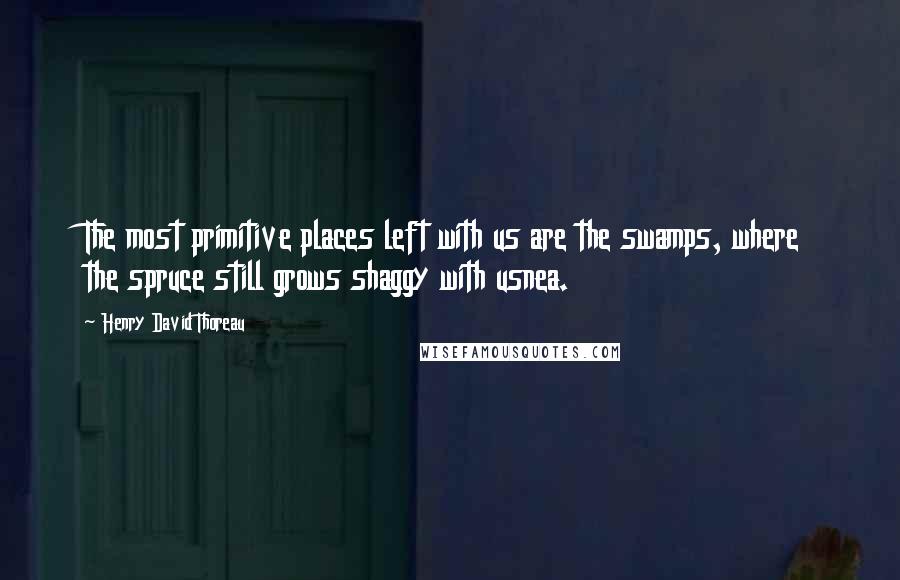 Henry David Thoreau Quotes: The most primitive places left with us are the swamps, where the spruce still grows shaggy with usnea.
