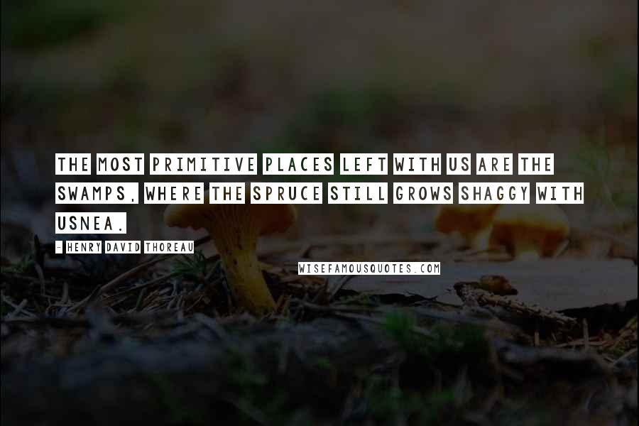 Henry David Thoreau Quotes: The most primitive places left with us are the swamps, where the spruce still grows shaggy with usnea.