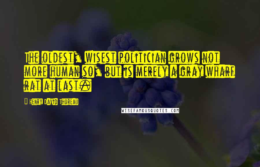 Henry David Thoreau Quotes: The oldest, wisest politician grows not more human so, but is merely a gray wharf rat at last.