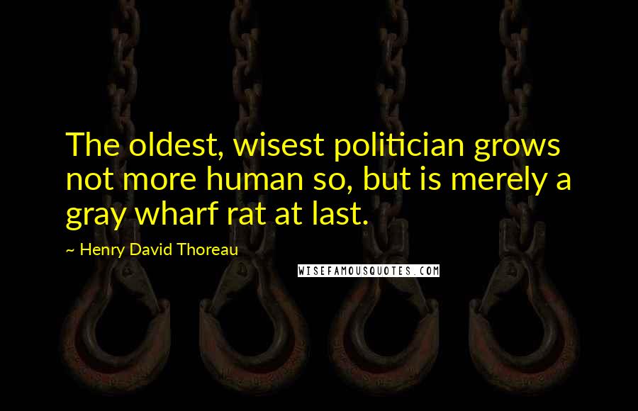 Henry David Thoreau Quotes: The oldest, wisest politician grows not more human so, but is merely a gray wharf rat at last.