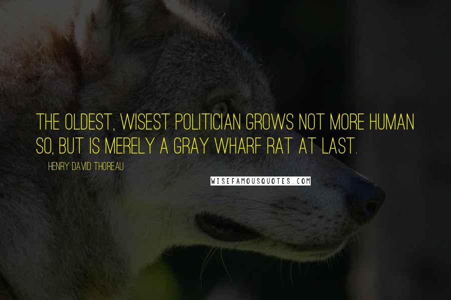 Henry David Thoreau Quotes: The oldest, wisest politician grows not more human so, but is merely a gray wharf rat at last.
