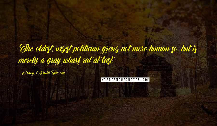Henry David Thoreau Quotes: The oldest, wisest politician grows not more human so, but is merely a gray wharf rat at last.