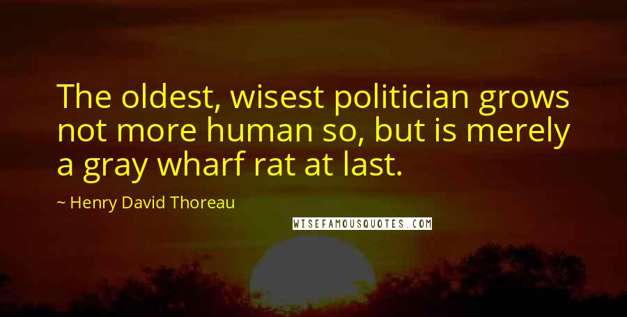 Henry David Thoreau Quotes: The oldest, wisest politician grows not more human so, but is merely a gray wharf rat at last.