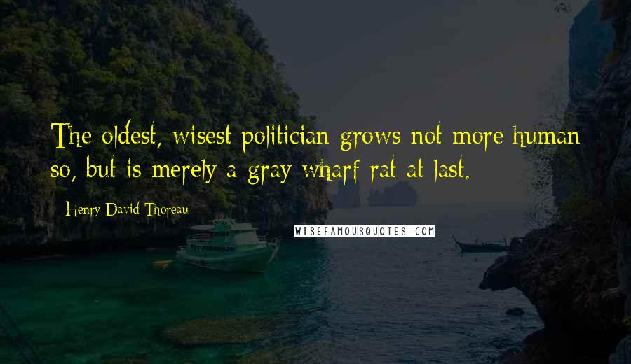 Henry David Thoreau Quotes: The oldest, wisest politician grows not more human so, but is merely a gray wharf rat at last.