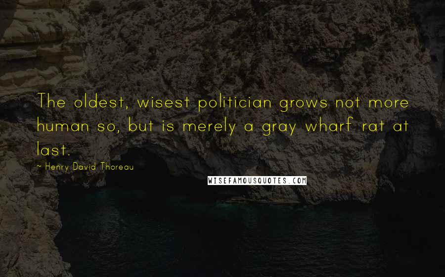 Henry David Thoreau Quotes: The oldest, wisest politician grows not more human so, but is merely a gray wharf rat at last.