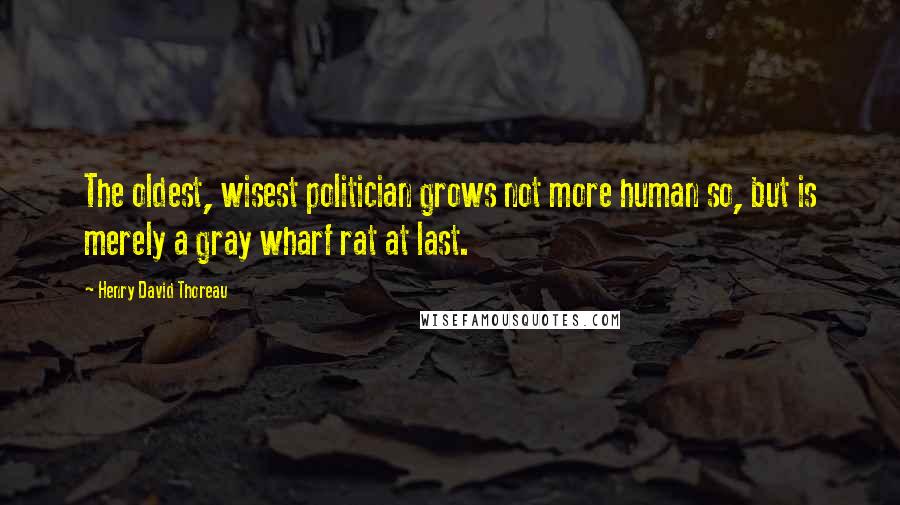 Henry David Thoreau Quotes: The oldest, wisest politician grows not more human so, but is merely a gray wharf rat at last.