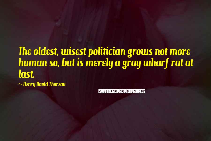 Henry David Thoreau Quotes: The oldest, wisest politician grows not more human so, but is merely a gray wharf rat at last.