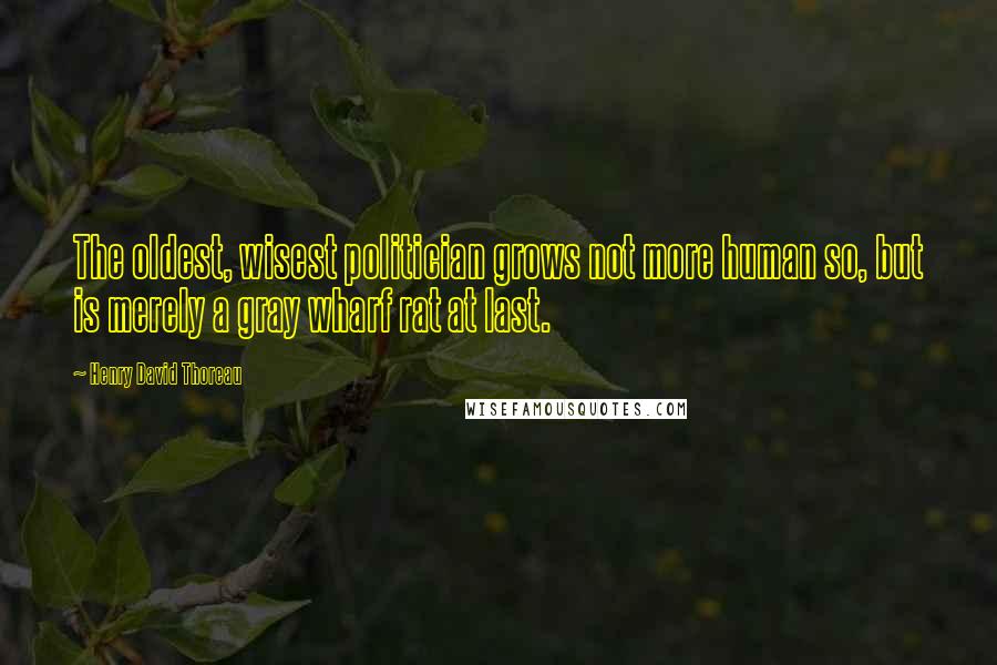 Henry David Thoreau Quotes: The oldest, wisest politician grows not more human so, but is merely a gray wharf rat at last.