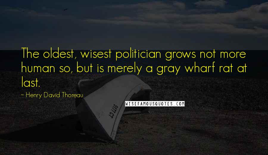Henry David Thoreau Quotes: The oldest, wisest politician grows not more human so, but is merely a gray wharf rat at last.