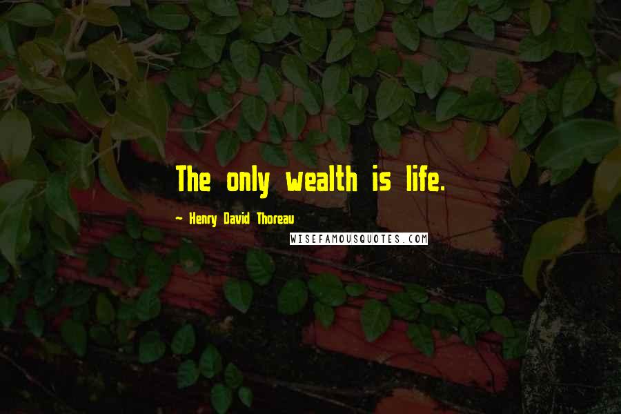 Henry David Thoreau Quotes: The only wealth is life.