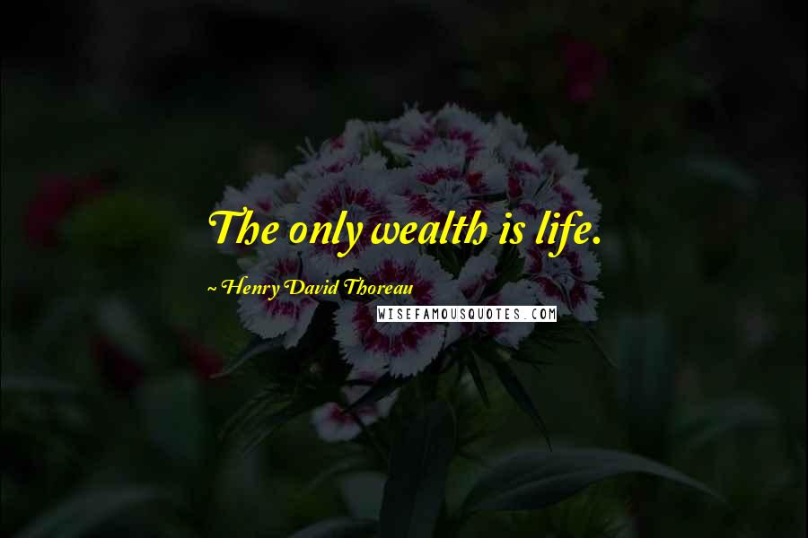 Henry David Thoreau Quotes: The only wealth is life.