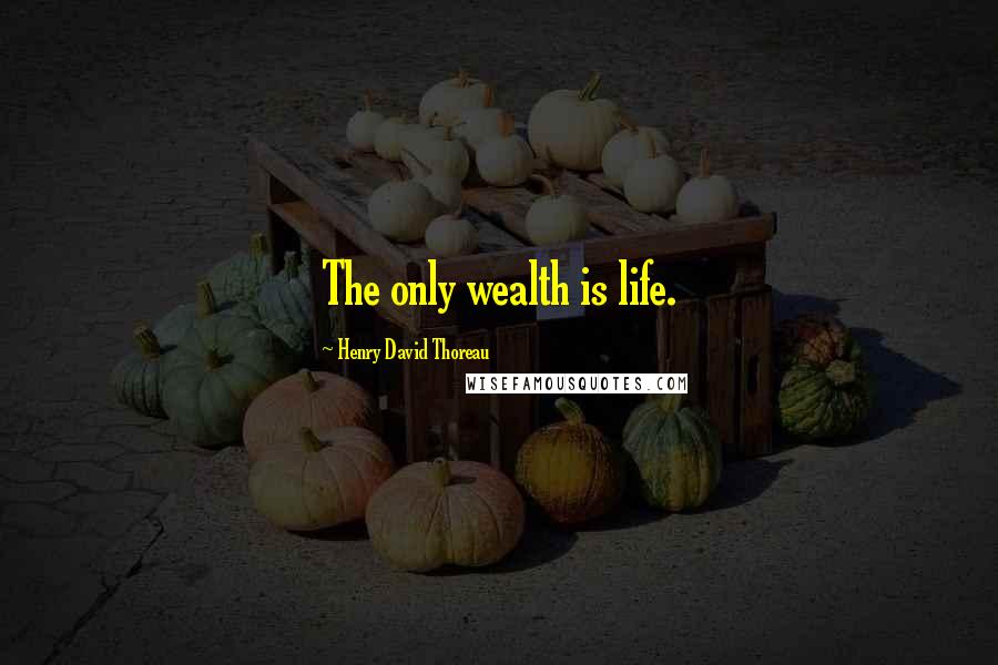 Henry David Thoreau Quotes: The only wealth is life.