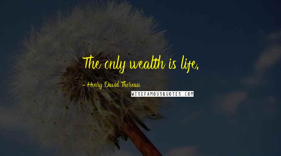 Henry David Thoreau Quotes: The only wealth is life.