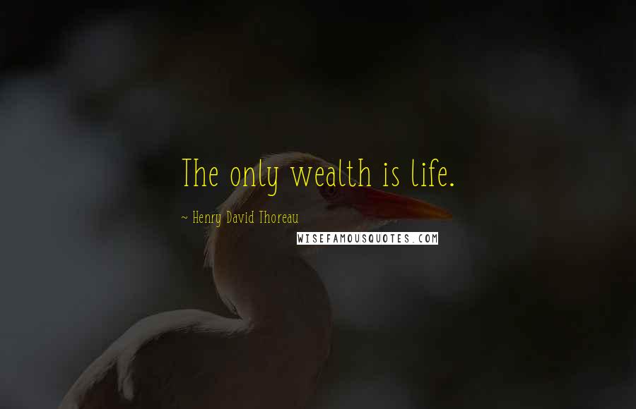 Henry David Thoreau Quotes: The only wealth is life.