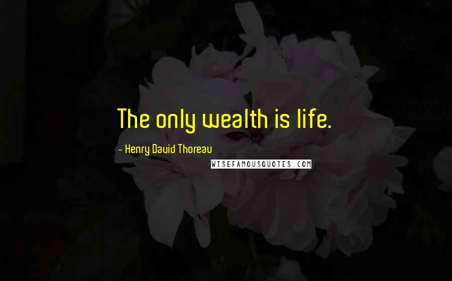 Henry David Thoreau Quotes: The only wealth is life.