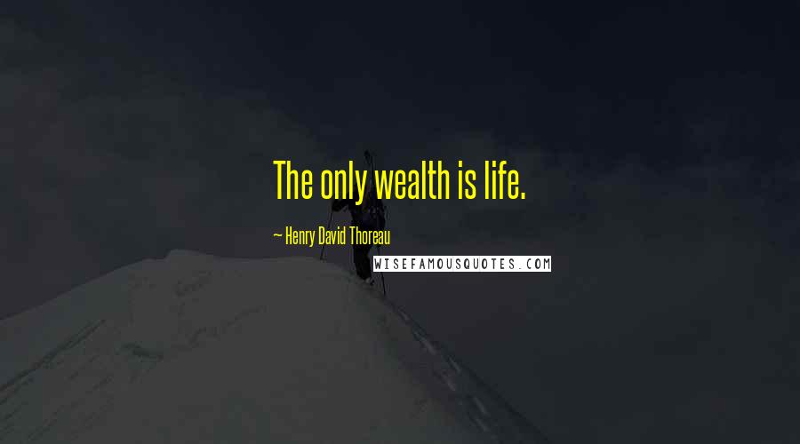 Henry David Thoreau Quotes: The only wealth is life.