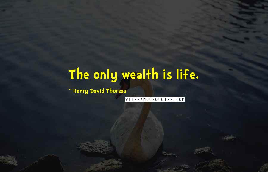 Henry David Thoreau Quotes: The only wealth is life.