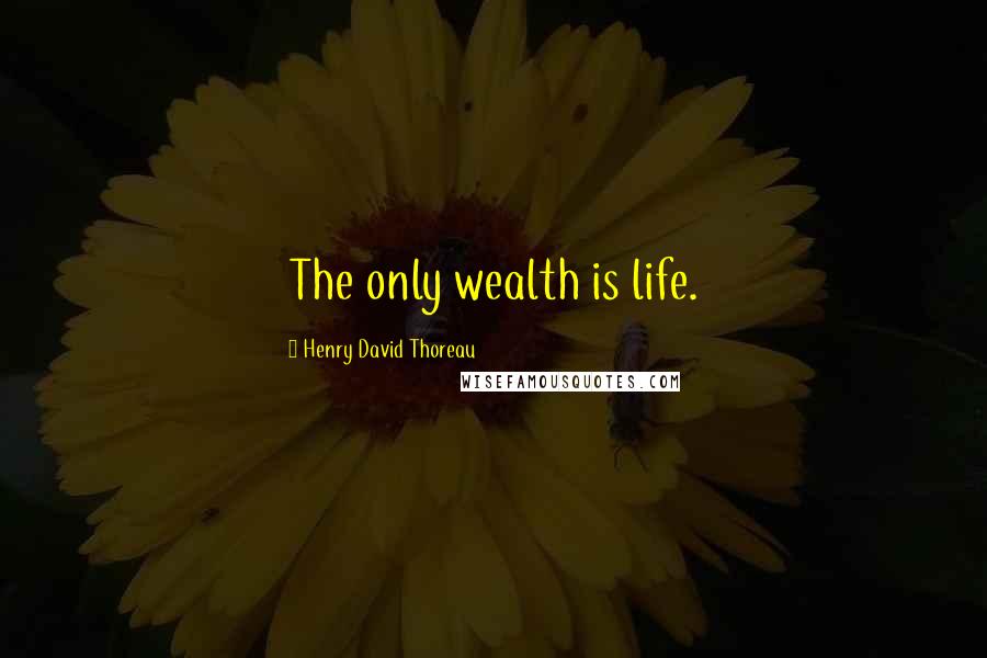 Henry David Thoreau Quotes: The only wealth is life.