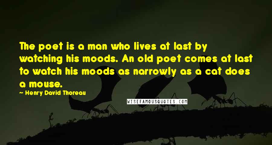 Henry David Thoreau Quotes: The poet is a man who lives at last by watching his moods. An old poet comes at last to watch his moods as narrowly as a cat does a mouse.