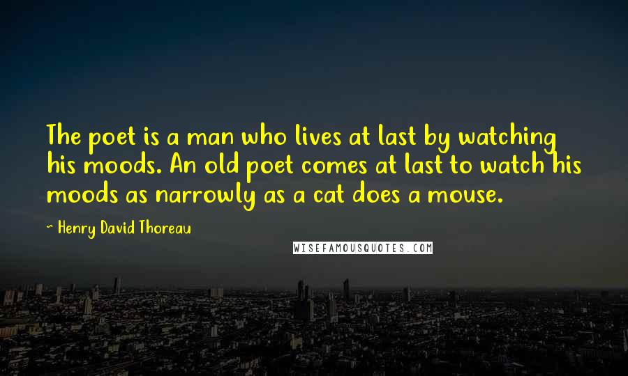 Henry David Thoreau Quotes: The poet is a man who lives at last by watching his moods. An old poet comes at last to watch his moods as narrowly as a cat does a mouse.