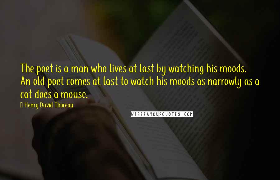 Henry David Thoreau Quotes: The poet is a man who lives at last by watching his moods. An old poet comes at last to watch his moods as narrowly as a cat does a mouse.