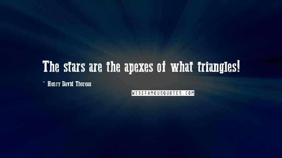 Henry David Thoreau Quotes: The stars are the apexes of what triangles!