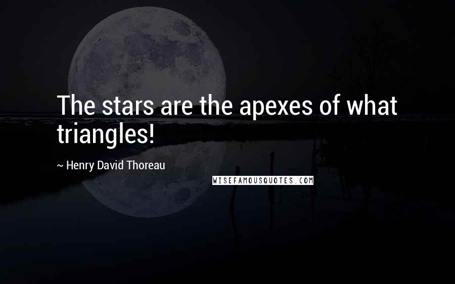 Henry David Thoreau Quotes: The stars are the apexes of what triangles!