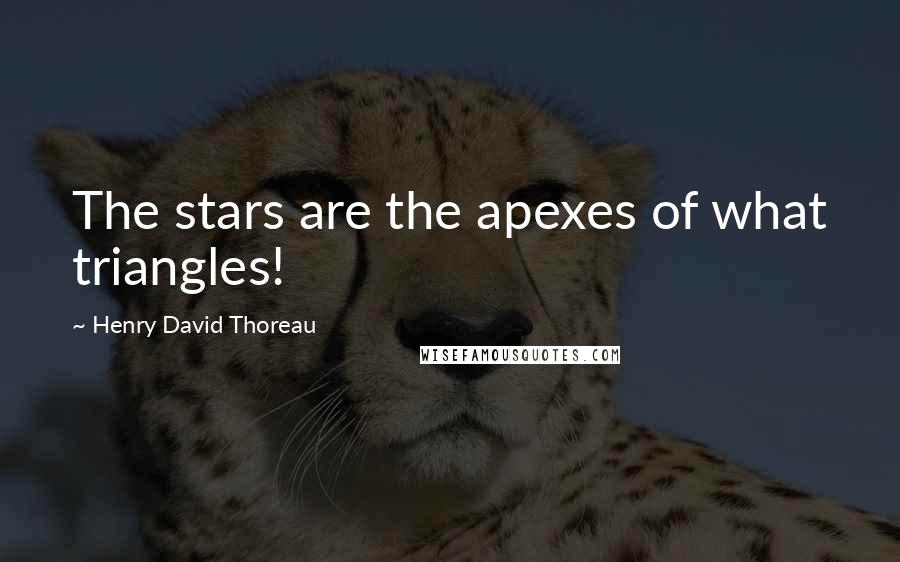 Henry David Thoreau Quotes: The stars are the apexes of what triangles!