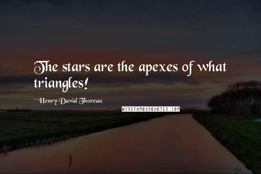 Henry David Thoreau Quotes: The stars are the apexes of what triangles!