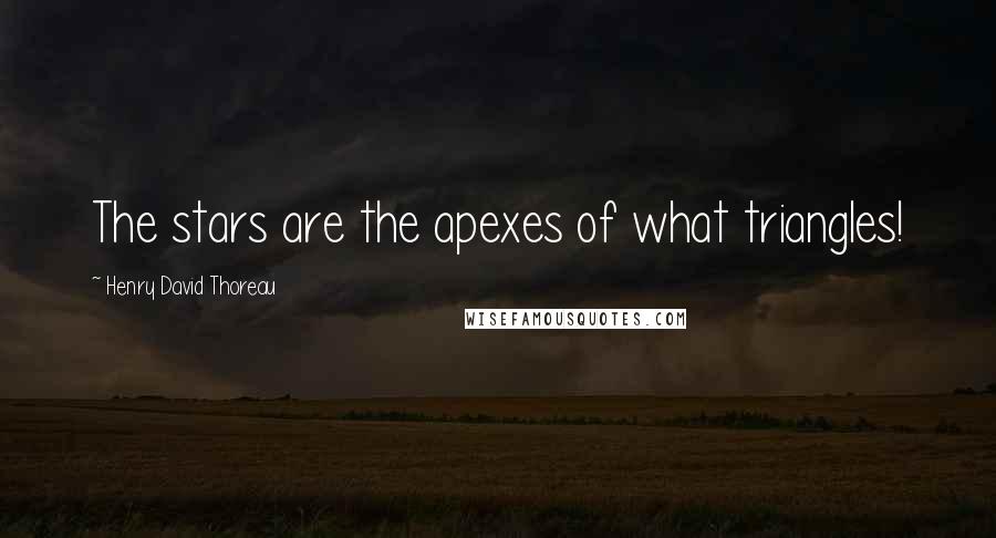 Henry David Thoreau Quotes: The stars are the apexes of what triangles!