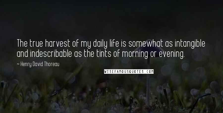 Henry David Thoreau Quotes: The true harvest of my daily life is somewhat as intangible and indescribable as the tints of morning or evening.