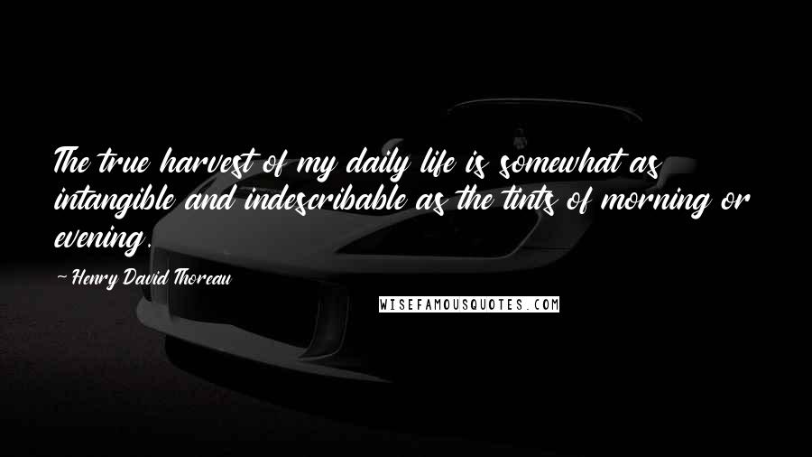 Henry David Thoreau Quotes: The true harvest of my daily life is somewhat as intangible and indescribable as the tints of morning or evening.