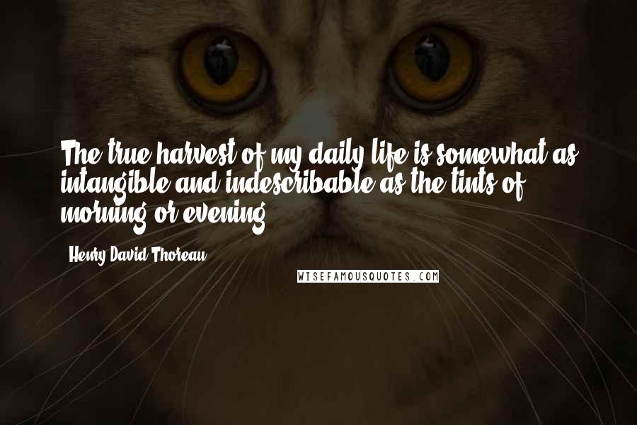Henry David Thoreau Quotes: The true harvest of my daily life is somewhat as intangible and indescribable as the tints of morning or evening.