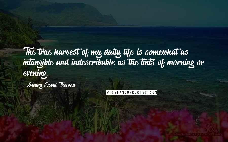 Henry David Thoreau Quotes: The true harvest of my daily life is somewhat as intangible and indescribable as the tints of morning or evening.