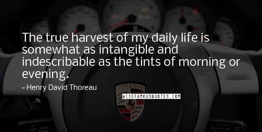 Henry David Thoreau Quotes: The true harvest of my daily life is somewhat as intangible and indescribable as the tints of morning or evening.