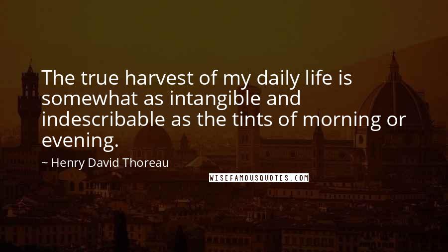 Henry David Thoreau Quotes: The true harvest of my daily life is somewhat as intangible and indescribable as the tints of morning or evening.