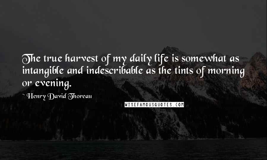 Henry David Thoreau Quotes: The true harvest of my daily life is somewhat as intangible and indescribable as the tints of morning or evening.